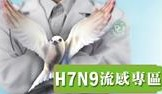 H7N9流感專區